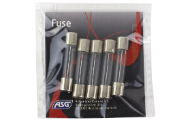 Buy Airsoft Motor Fuse - 25 Amp, Pack of 5 