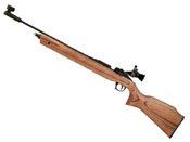 Daisy 887 Gold Medalist Competition CO2 Pellet Rifle
