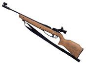 Explore the Daisy Avanti 753 Air Pellet Rifle. Precision shooting gear available at ReplicaAirguns.ca. Find top-quality replicas and accessories for enthusiasts.