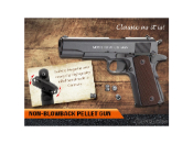 Discover the precision of the Auto Ordnance M1911A1 CO2 Pistol. Fully licensed replica with a unique 2x6rd magazine drum system. Available at ReplicaAirguns.ca.